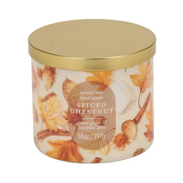14OZ Candle Jar Spiced Chestnut 3 Multi