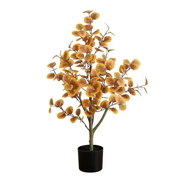 3 ft. Autumn Eucalyptus Tree